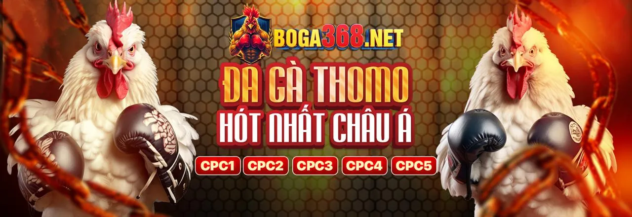Hình ảnh chính hướng dẫn an toàn abc8 vin